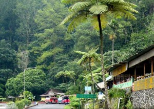 warung poci kaliurang